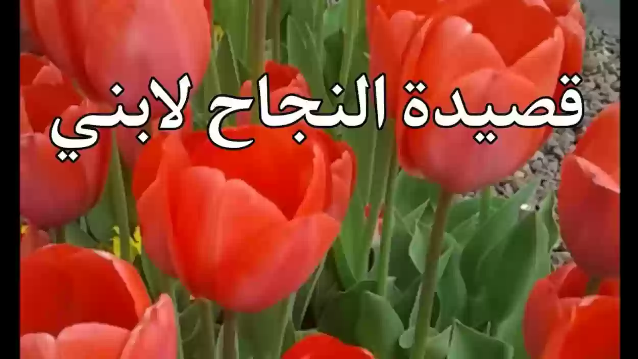 عبارات التهنئة بنجاح ابني