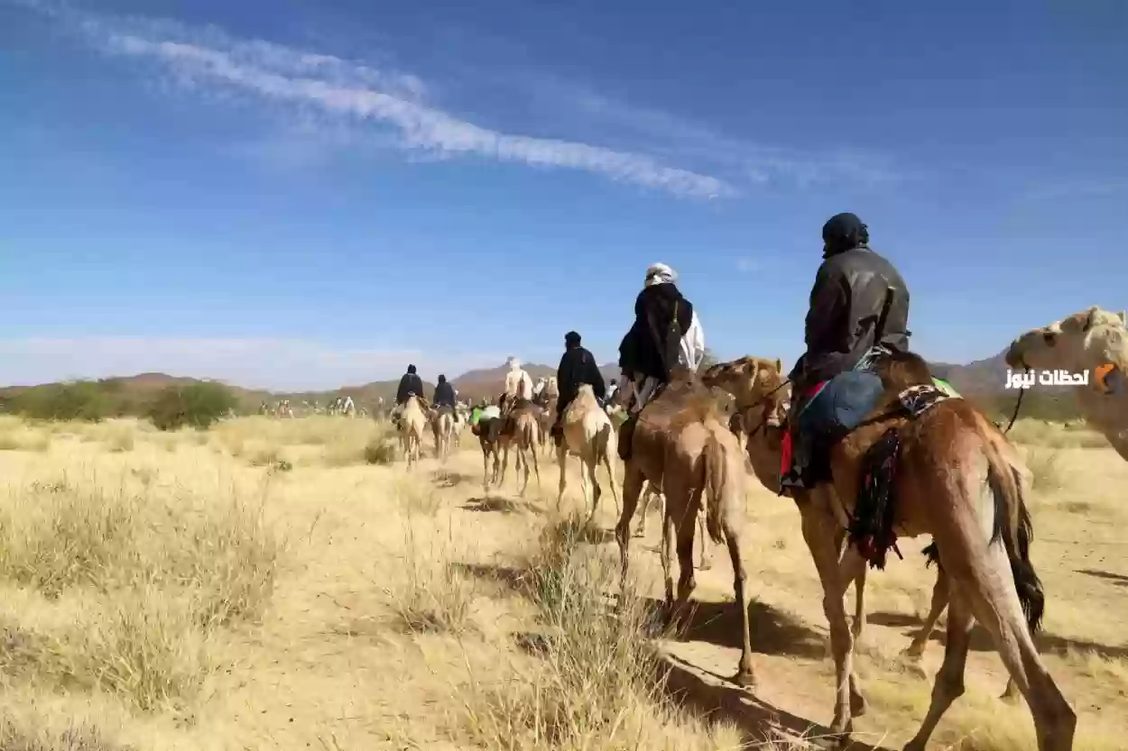 الكندري وش يرجعون.. من اين عائلة الكندري؟