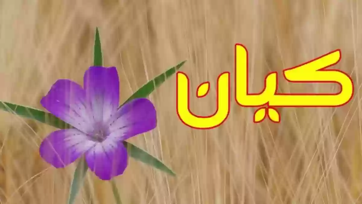 معنى اسم كيان باللغة العربية والفارسية